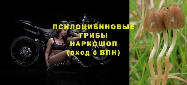 твердый Заволжск