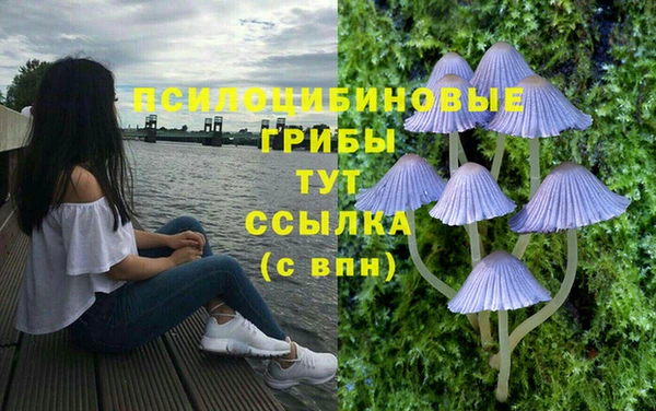 кристаллы Заводоуковск