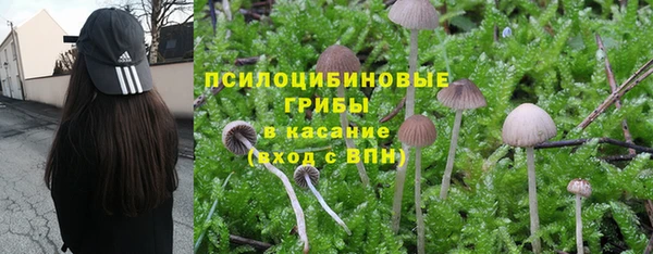 твердый Заволжск