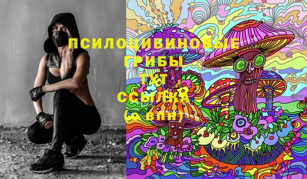 твердый Заволжск